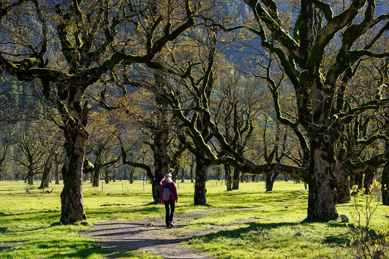 Schlüsseldienst Wochenende Kosten: Preise & Notdienst